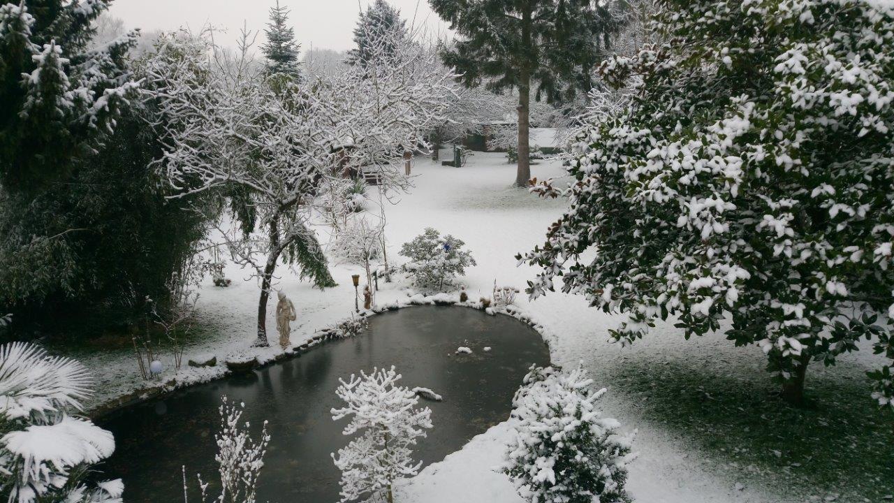 5Garten im Winter